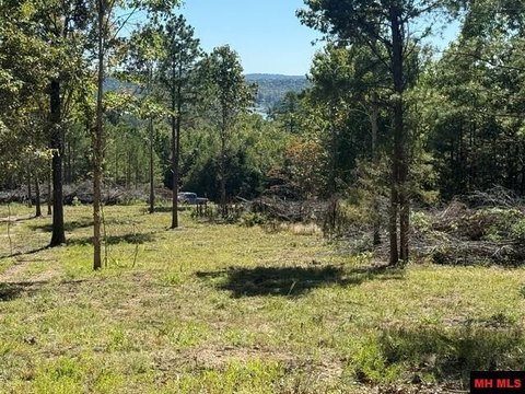 LAND, Elizabeth, AR