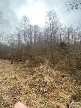 Creek-Bordered Hunting and Recreation Land