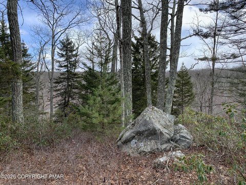 Land, Dingmans Ferry, PA