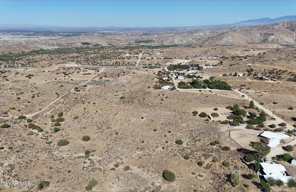 Picture 6