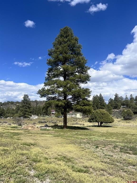 Land in Pagosa Springs, CO