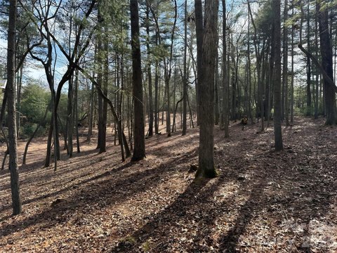 Biltmore Forest Estate Site