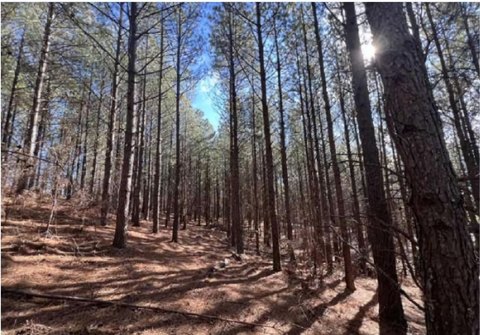 Guild, TN Homesite Opportunity