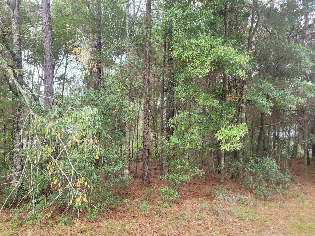 Picture 4