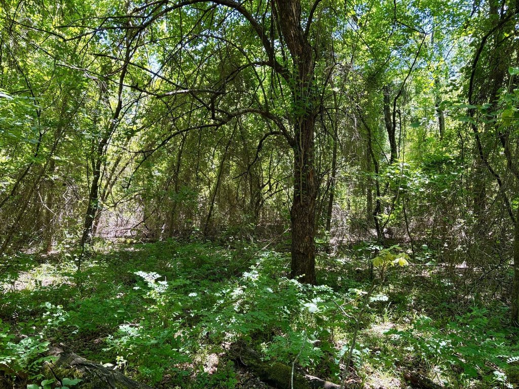 Picture 19