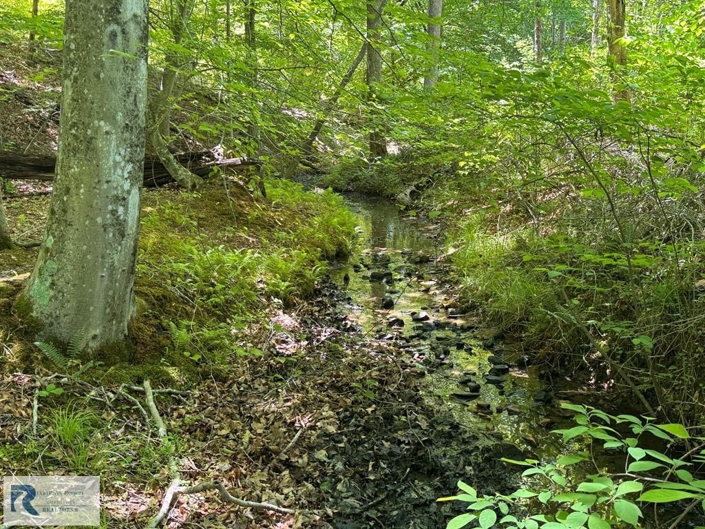 Prime Hunting Land Near Smith Mountain