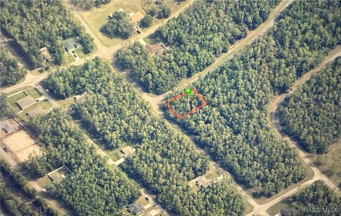 Citrus Springs Corner Lot