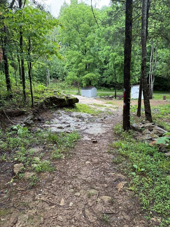 Picture 22