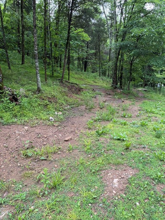 Picture 29