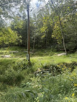 Unrestricted Land with Road Frontage
