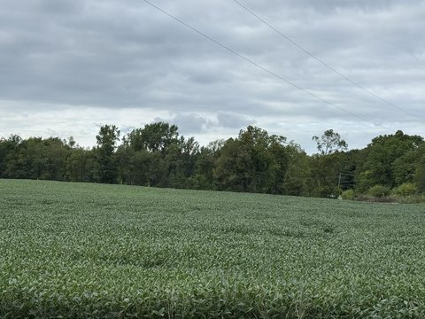 77 Acres of Tillable Land