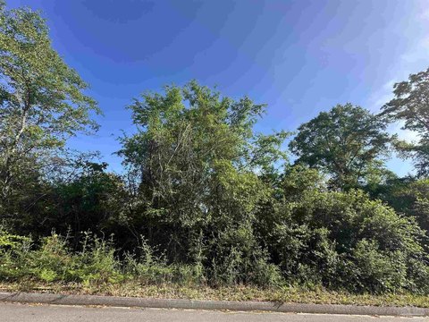 30 Acres Timberland in Milton