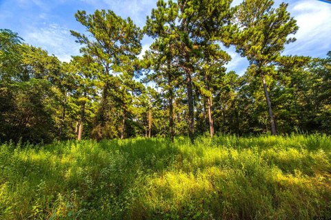 LAND - Frankston, TX