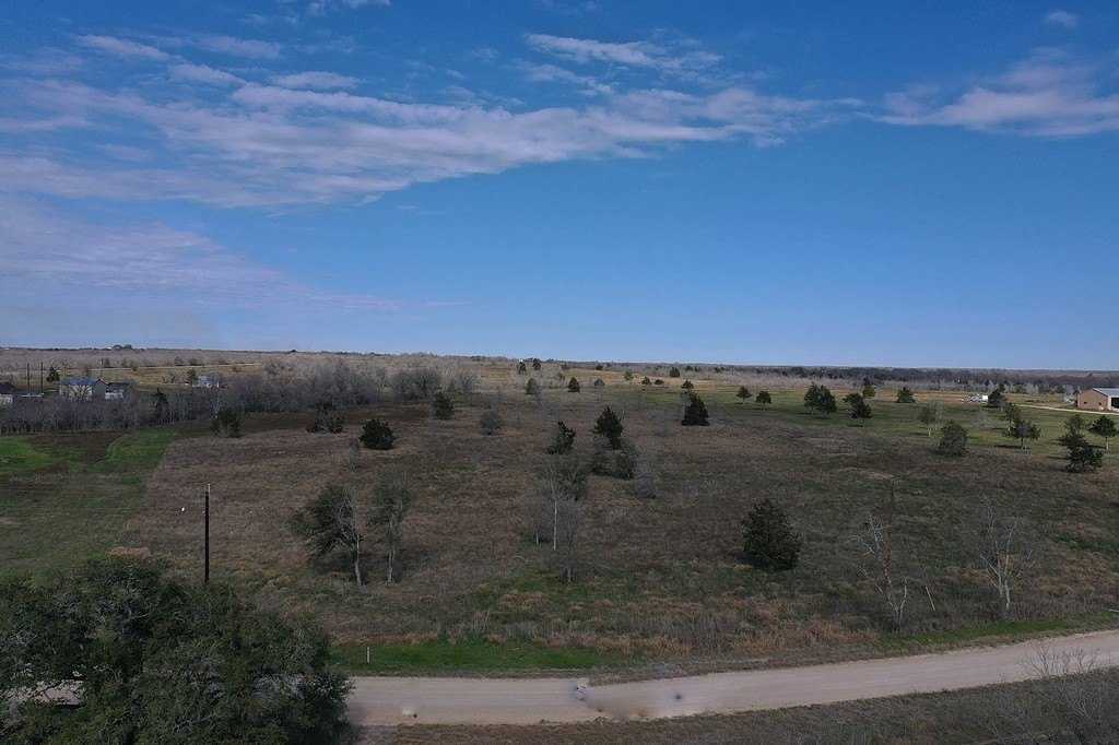 Picture 5