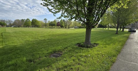 Nearly-Acre Homesite in Wayne, IL