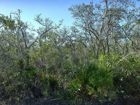 Land, SEBRING, FL
