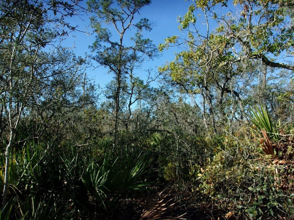 Picture 5