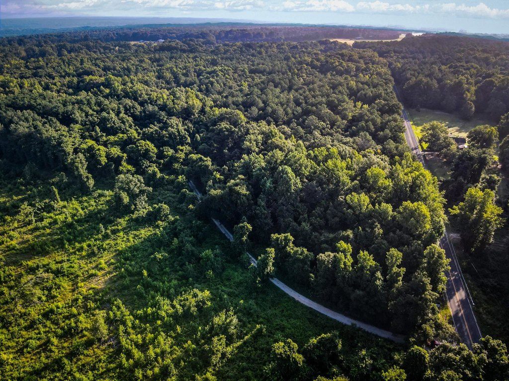 Picture 39