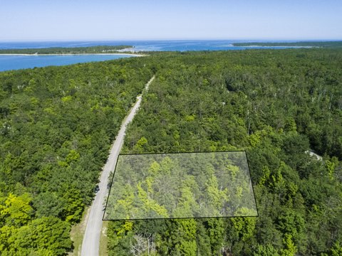Wooded Lot in Presque Isle