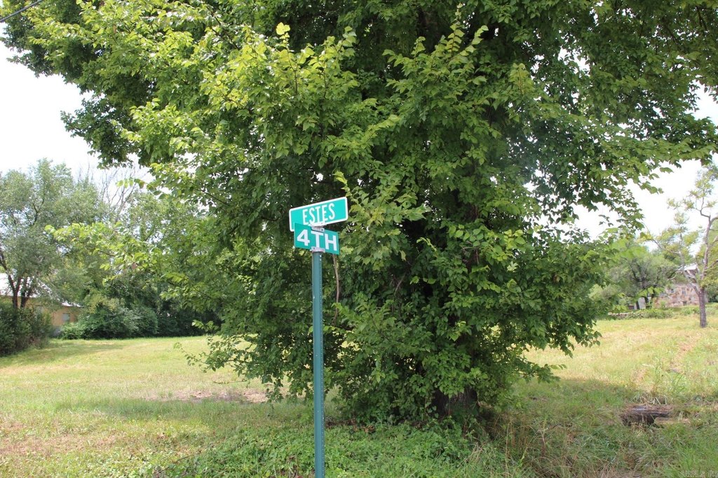 Picture 8