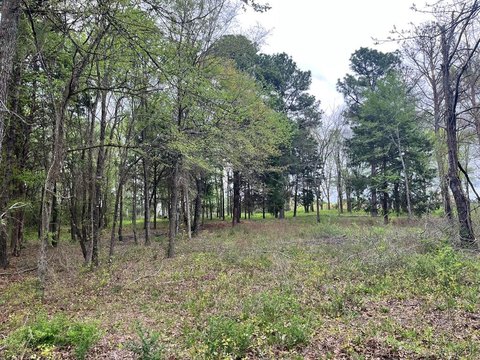 Residential Lot in Gated Community