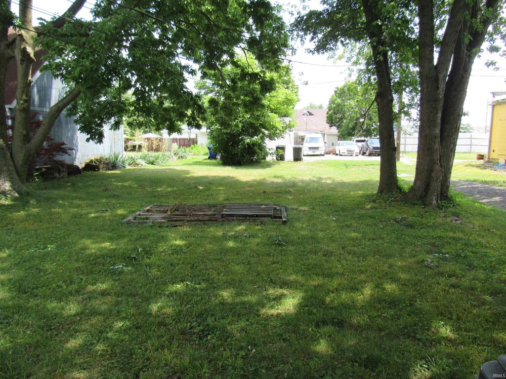 Picture 4
