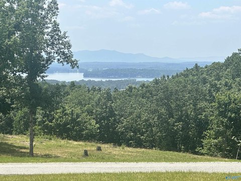 Weiss Lake View Land