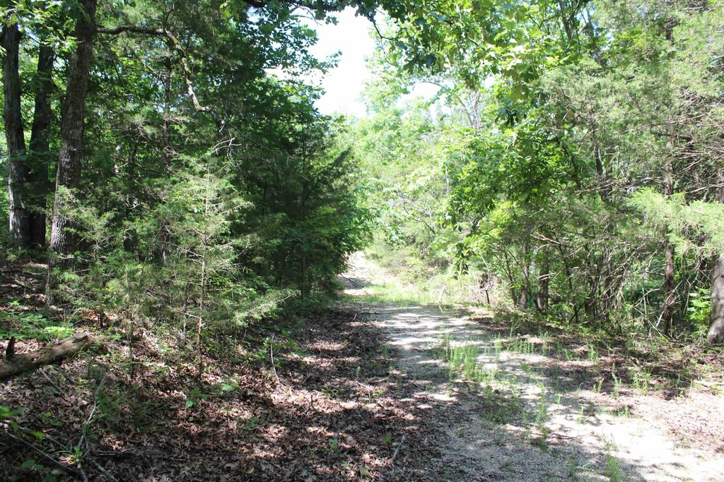 Picture 18