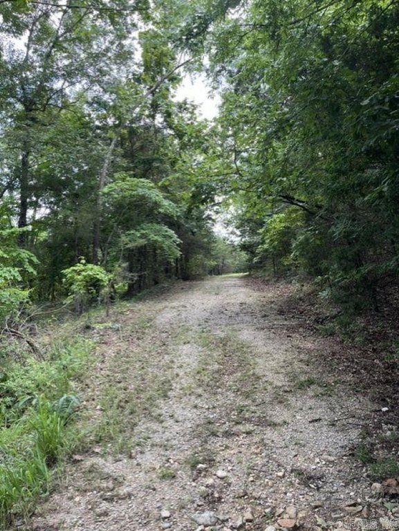 Picture 4