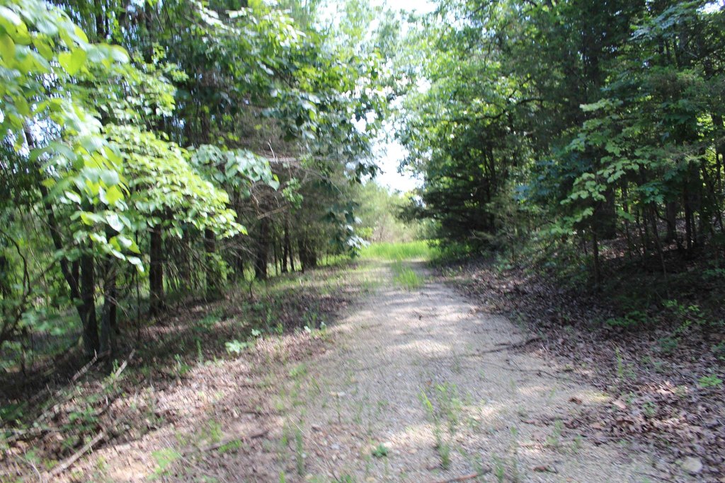 Picture 16