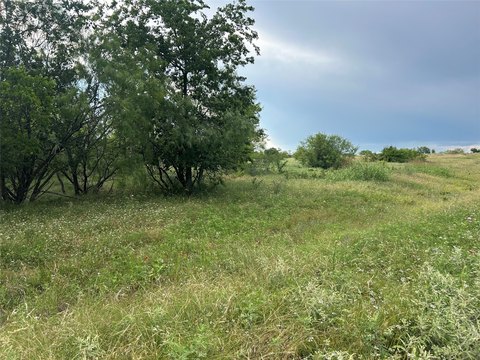 Aledo Estate Lot with Acreage