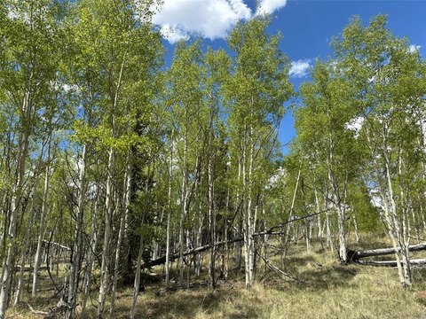 Vacant Land in Indian Mountain