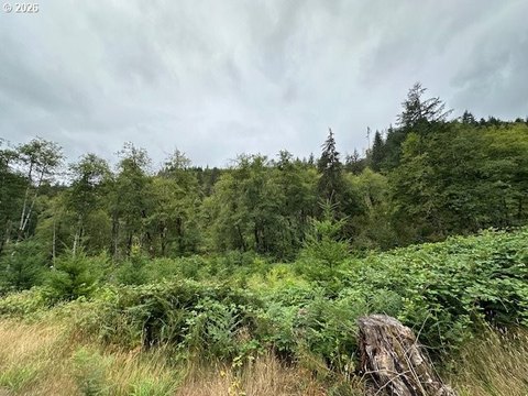 LAND - Ariel, WA