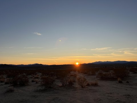 Joshua Tree Buildable Land Parcel