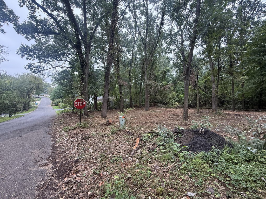 Picture 4