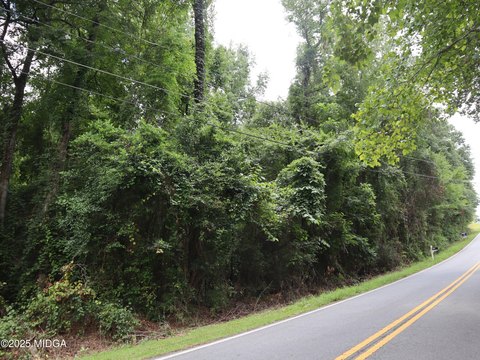 Wooded Lot Near Macon