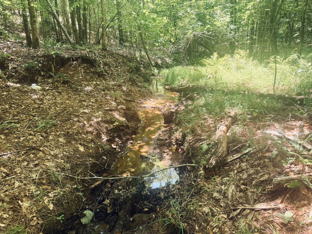 Picture 30