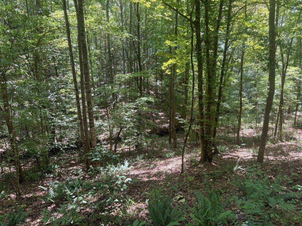 Picture 26