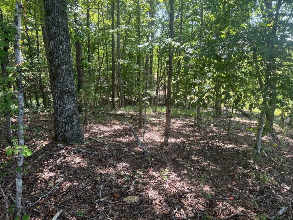 Picture 25