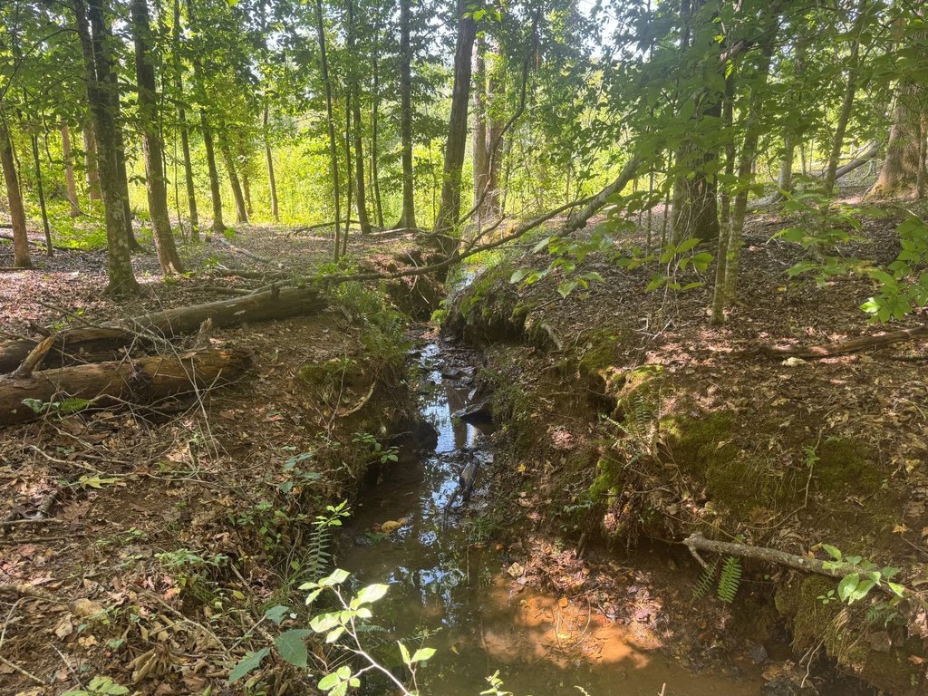 Picture 29