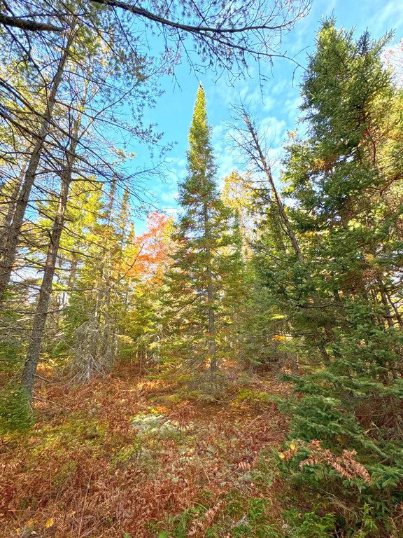 Picture 14