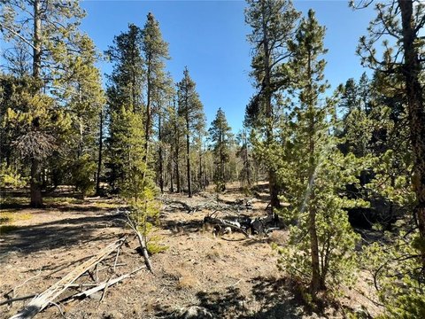 Land For Sale in Alma