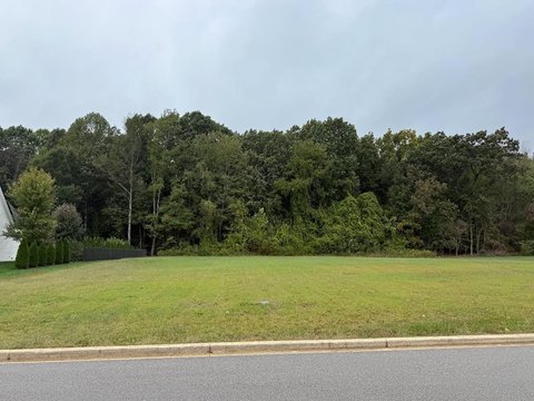 Residential Land in Greystone Subdivision