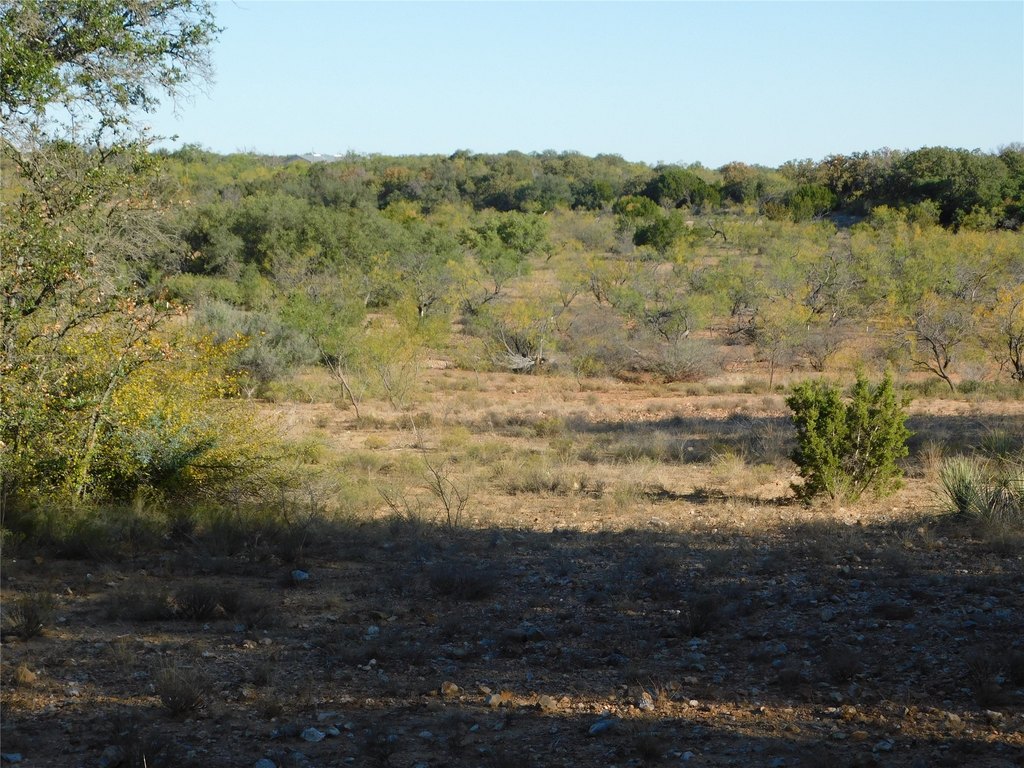 Picture 10