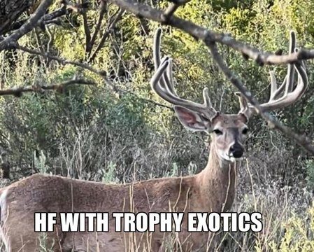 Cross Cut Ranch with Hunting Lodge