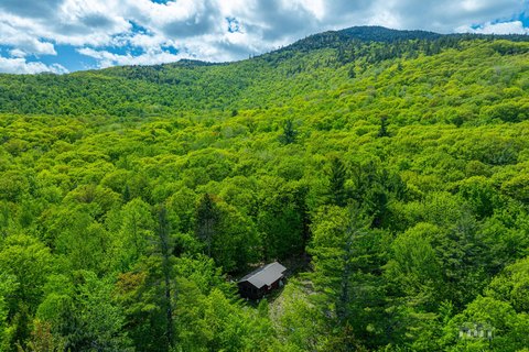 Wooded Adirondack Hunting Land