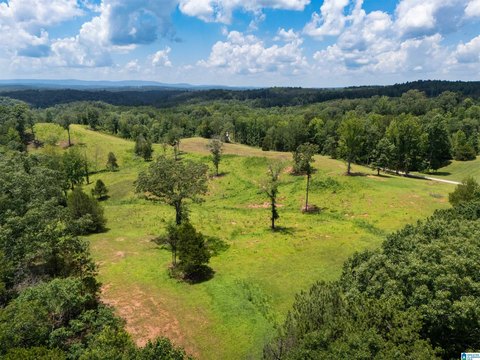 LAND/LOTS, WEDOWEE, AL