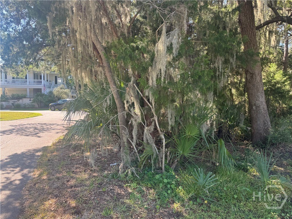 Picture 6