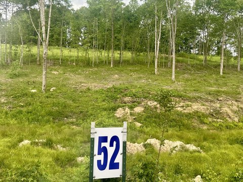 Residential Lots in Holly Grove