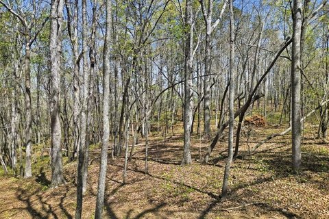 Wooded Homesite with Multiple Build Spots